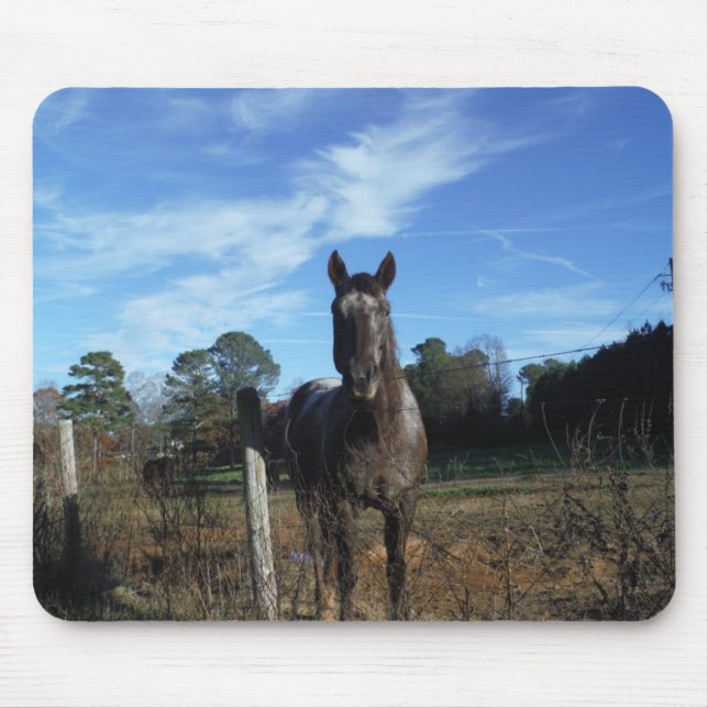 Milchschokolade Braunes Pferd in Blau Mousepad (Vorne)