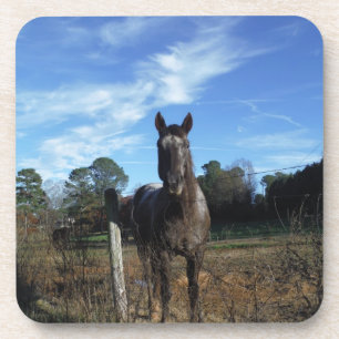 Milchschokolade Braunes Pferd in Blau Untersetzer