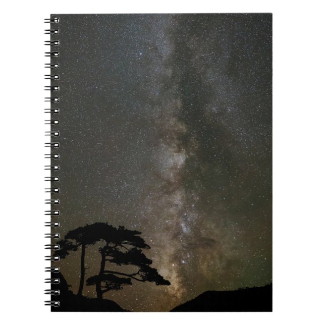 Milchstraße mit Baum | Ouray Colorado Notizblock (Vorderseite)