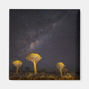 Milchstraße Quiver Tree Keetmanshoop Namibia Magnet