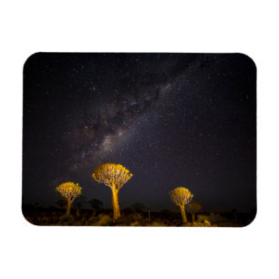 Milchstraße - Quiver Tree Keetmanshoop Namibia Magnet