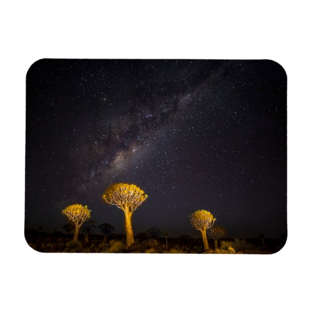 Milchstraße - Quiver Tree | Keetmanshoop Namibia Magnet (Horizontal)