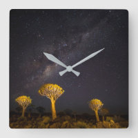 Milchstraße - Quiver Tree | Keetmanshoop Namibia