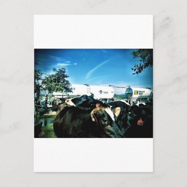 Milchwagen Postkarte (Vorderseite)
