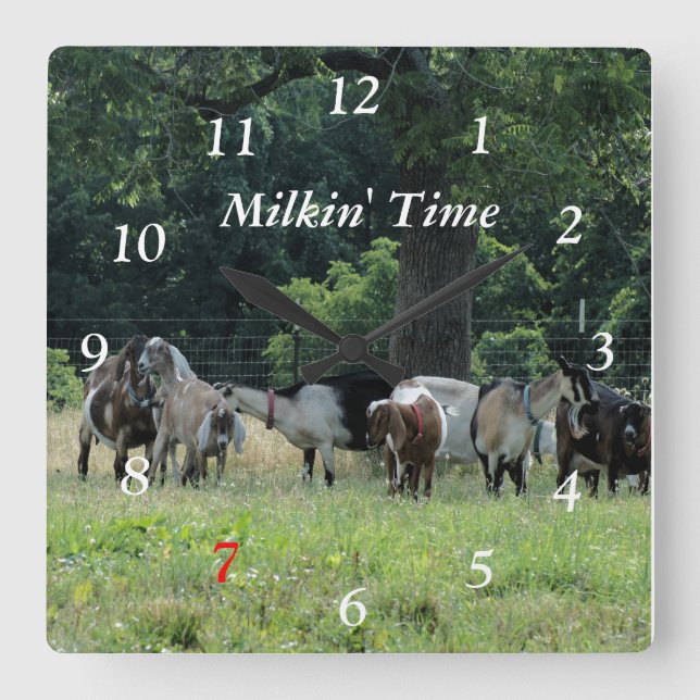 Milchziegen Uhr - Größe anpassen (Vorderseite)