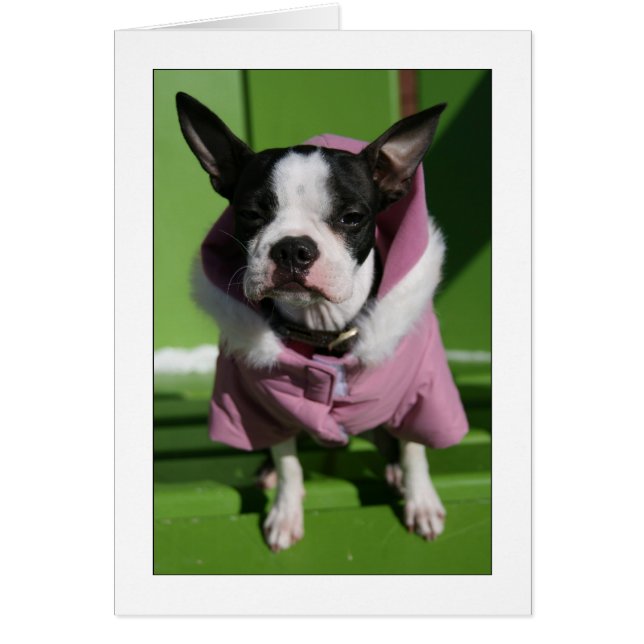 Miley in der Kälte (Vorne)