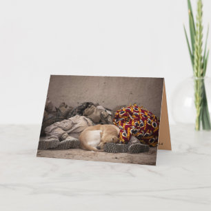 Militär Männer und Hund Inspiration Karte