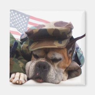 Militärboxer Hundemagnet Magnet