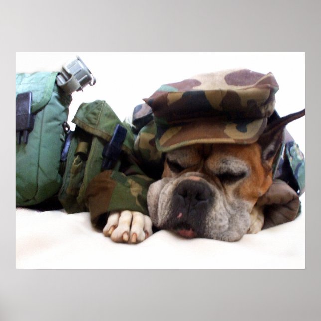 Militärboxer Poster (Vorne)