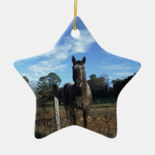 Milk Chocolate Brown Horse in Blue Keramikornament
