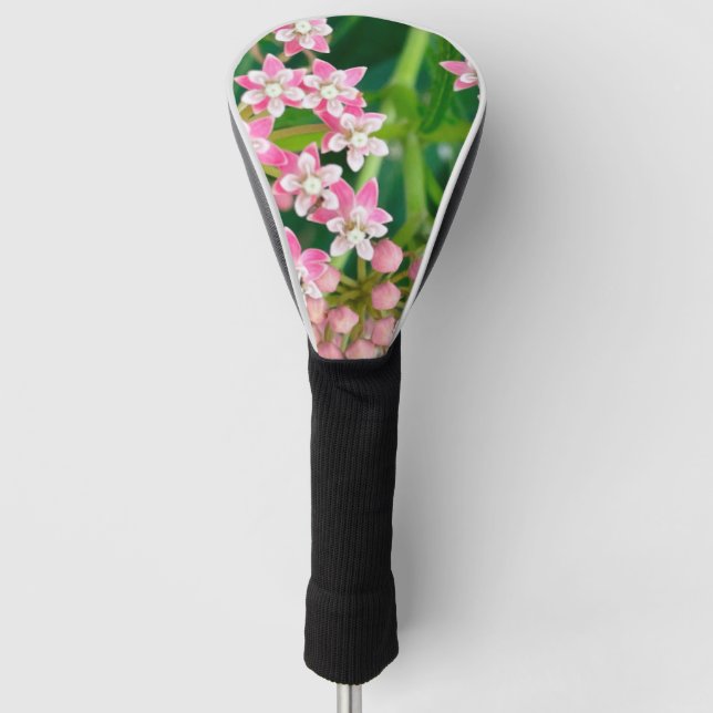 Milkweed alias Asclepias Summer Blooms Golf Headcover (Vorderseite)