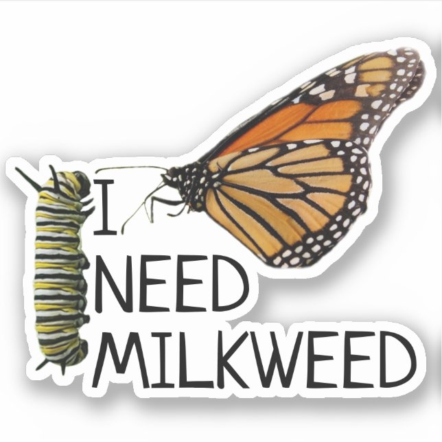 Milkweed für Monarchschmetterlinge Aufkleber (Vorderseite)