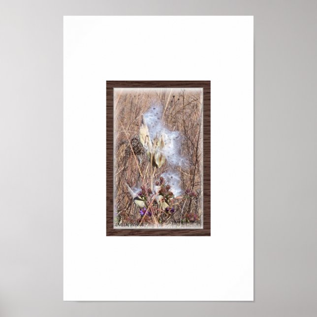 Milkweed Pod in Blow Poster (Vorne)