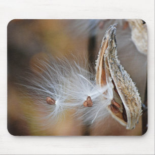 Milkweed Pod Macro Mousepad