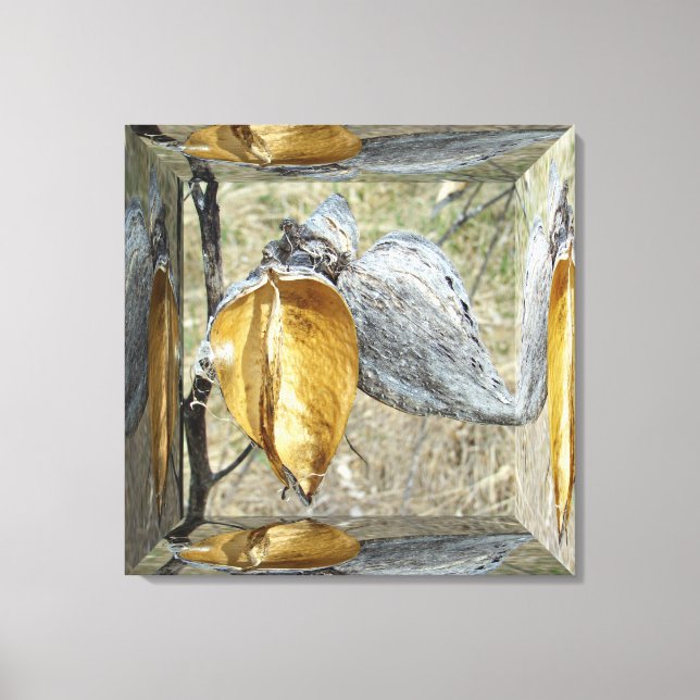 Milkweed Pods - Spiegelbox Leinwanddruck (Vorderseite)