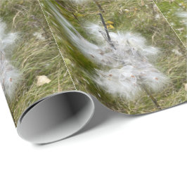 Milkweed | Schmetterling | Geschenkpapier