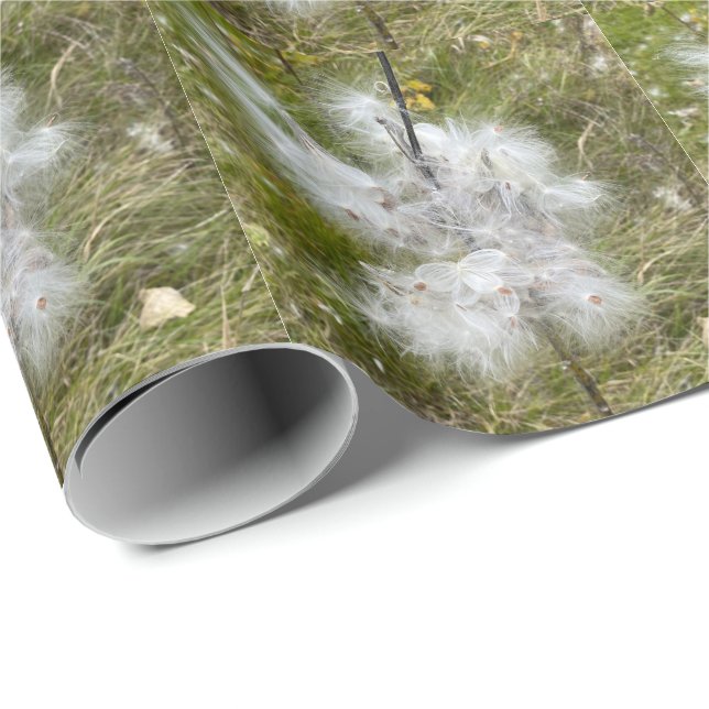 Milkweed | Schmetterling | Geschenkpapier (Rolleneckpunkt)