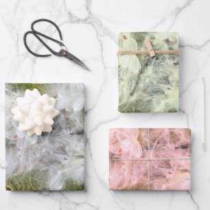 Milkweed   Schmetterling   Geschenkpapier Set