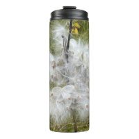 Milkweed | Schmetterling |