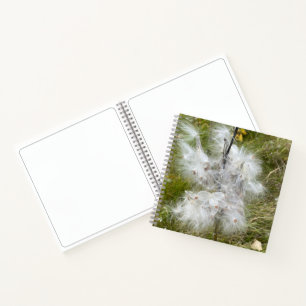 Milkweed Schmetterling Zeichnung Notizbuch