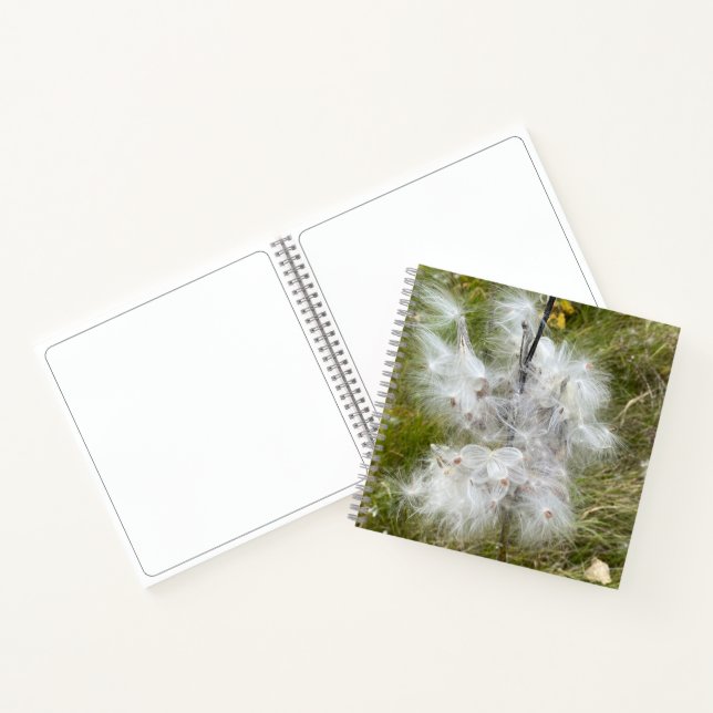 Milkweed | Schmetterling | Zeichnung Notizbuch (Innenseite)