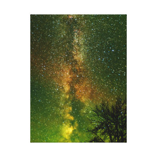 Milky Way & Aurora Borealis   Ontario Kanada Leinwanddruck