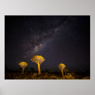 Milky Way Quiver Tree Keetmansho  Namibia Poster