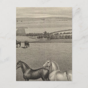 Mill Brae Ranch, Kansas Postkarte