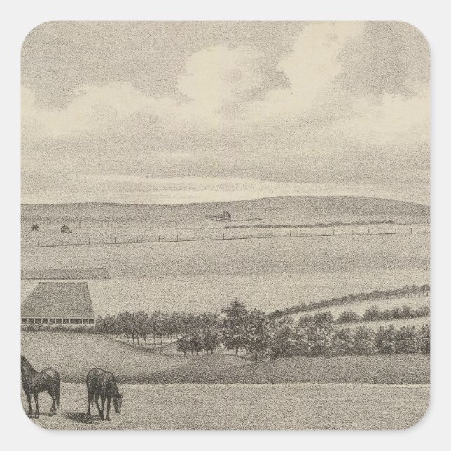Mill Brae Ranch, Kansas Quadratischer Aufkleber (Vorderseite)
