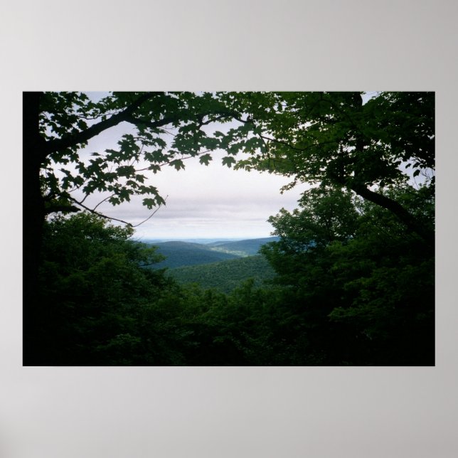 Mill Brook Ridge Vista Poster (Vorne)