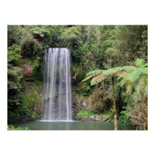 Millaa Millaa Falls Queensland Regenwald Foto Poster