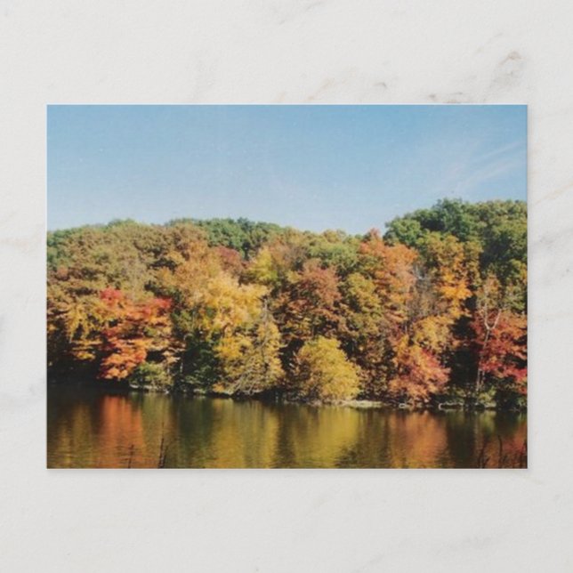 MILLCREEK POSTKARTE (Vorderseite)