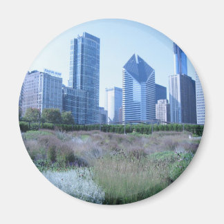 Millenium Park Magnet