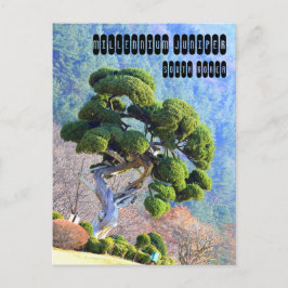 Millennium Juniper in Gapyeong Korea Postkarte