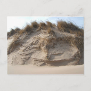 Miller Beach in Gary, Indiana Postkarte