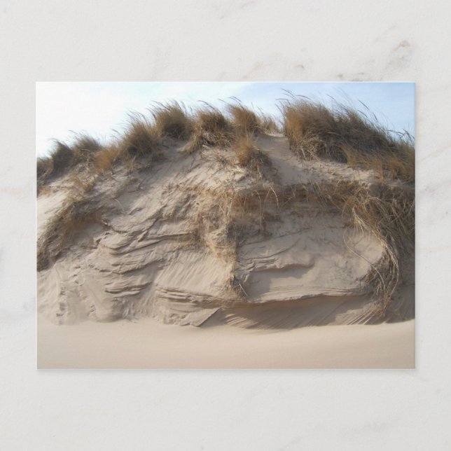 Miller Beach in Gary, Indiana Postkarte (Vorderseite)