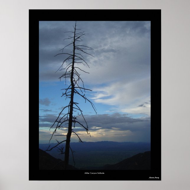 Miller Canyon Solitude Poster (Vorne)