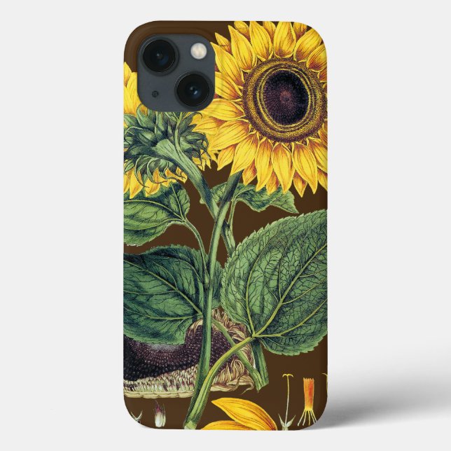 Miller: Sonnenblume Case-Mate iPhone Hülle (Rückseite)