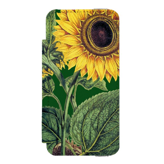 Miller: Sonnenblume Incipio iPhone Geldbeutel-Hülle (Folio Vorderseite)