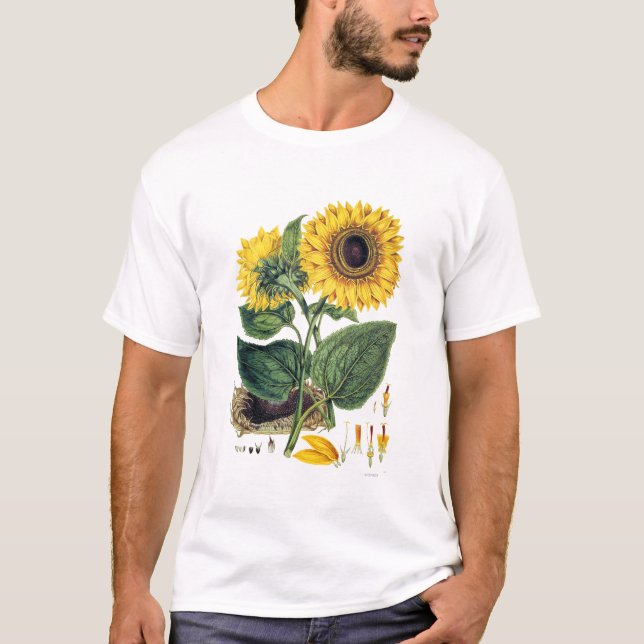 Miller: Sonnenblume T-Shirt (Vorderseite)