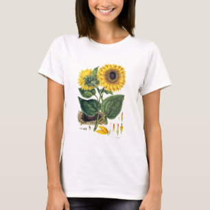 Miller: Sonnenblume T-Shirt