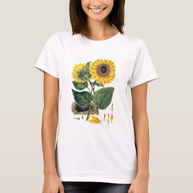 Miller: Sonnenblume T-Shirt (Vorderseite)