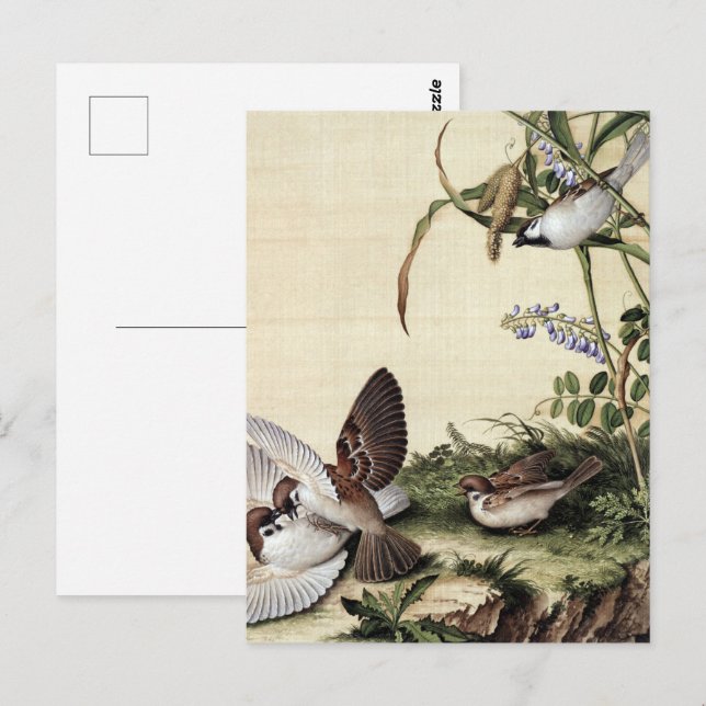 Millet Blume und Sojabohnen Postkarte (Vorne/Hinten)