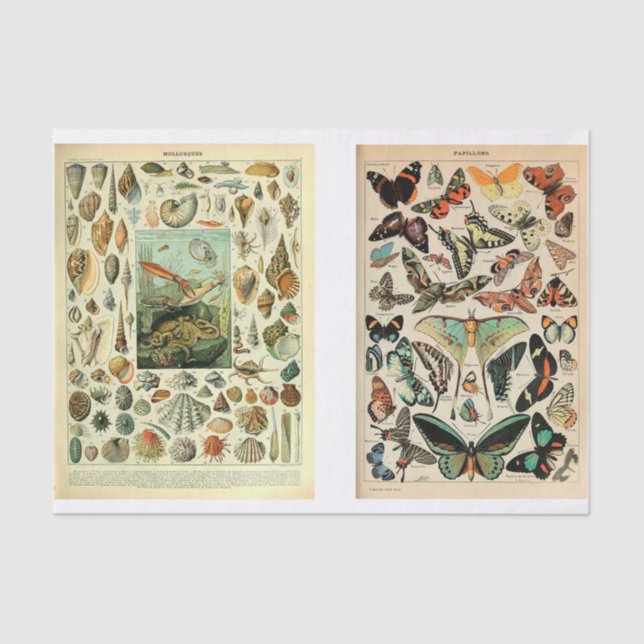 Millet Pages Seidenpapier (Vorderseite)