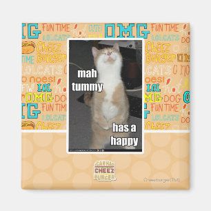 Milliamperestunden-Bauch hat ein glückliches Magnet