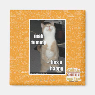 Milliamperestunden-Bauch hat ein glückliches Magnet