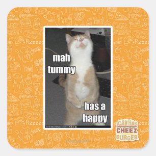 Milliamperestunden-Bauch hat ein glückliches Quadratischer Aufkleber