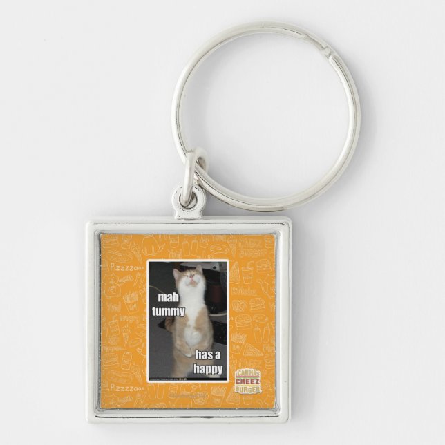 Milliamperestunden-Bauch hat ein glückliches Schlüsselanhänger (Vorne)