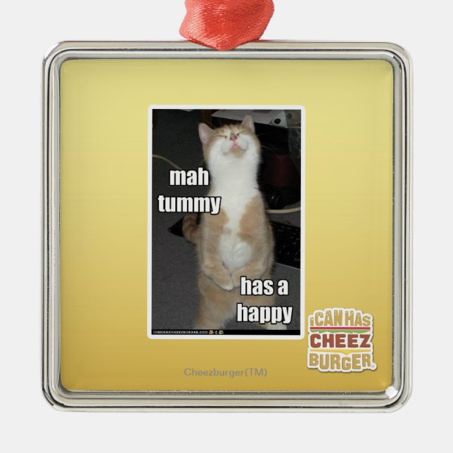 Milliamperestunden-Bauch hat ein glückliches Silbernes Ornament (Vorne)