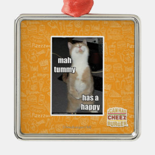 Milliamperestunden-Bauch hat ein glückliches Silbernes Ornament